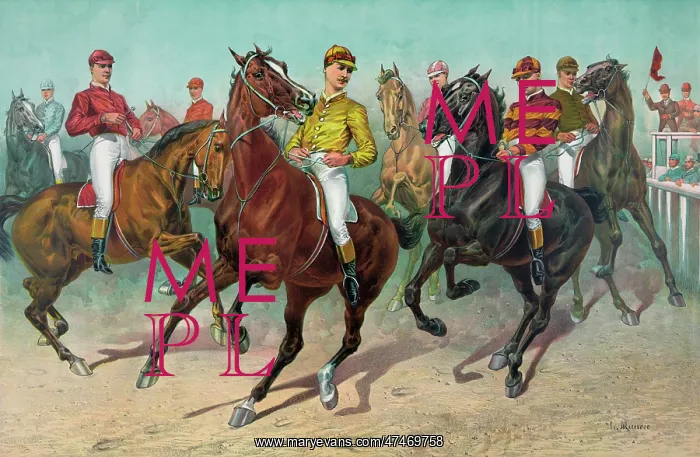 : Jockeys horse racing : Jockeys horse racing