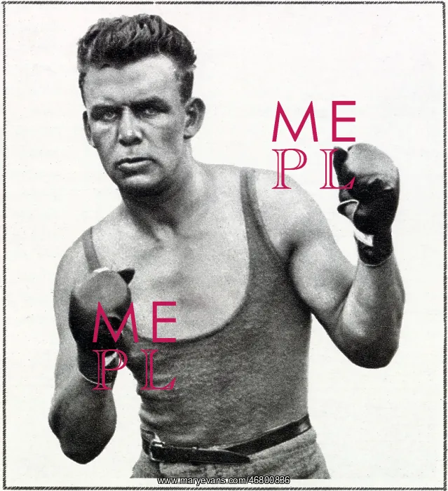: Joe Beckett : Joe Beckett