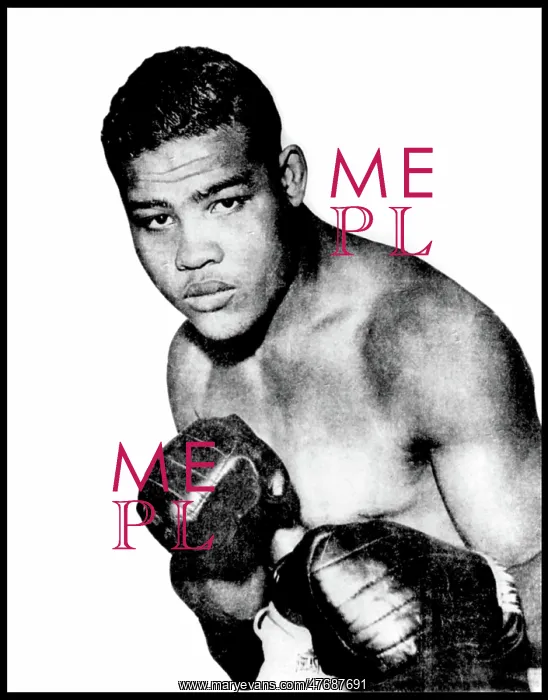 : Joe Louis, American Boxer : Joe Louis, American Boxer