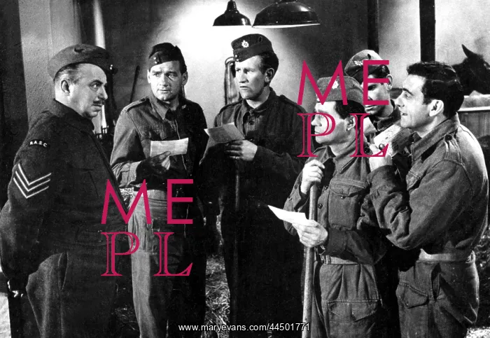 : Joey Boy (1965) : Joey Boy (1965)