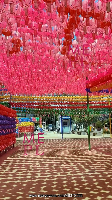 : Jogyesa (Jogye Temple) is the chief temple of : Jogyesa (Jogye Temple) is the chief temple of