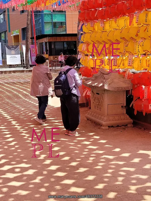 : Jogyesa (Jogye Temple) is the chief temple of : Jogyesa (Jogye Temple) is the chief temple of
