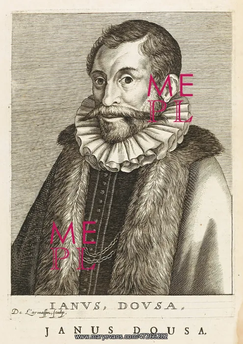 : JOHAN VAN DER DOES / LARME : JOHAN VAN DER DOES / LARME