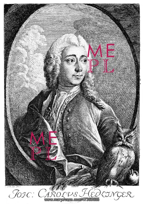  : JOHANN HEDLINGER - 2