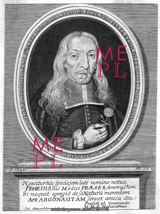 : JOHANN MICHAEL FEHR : JOHANN MICHAEL FEHR