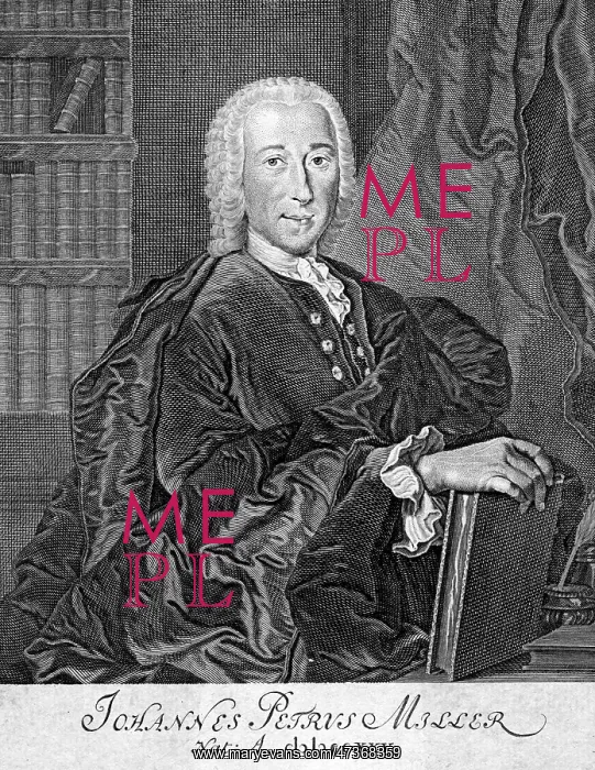: JOHANN PETER MILLER : JOHANN PETER MILLER