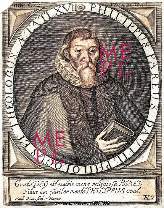 : JOHANN PHILIP PAREUS : JOHANN PHILIP PAREUS