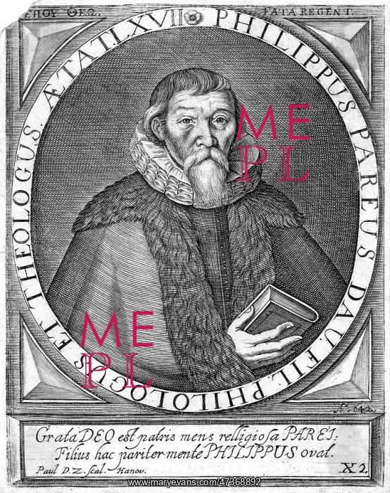 : JOHANN PHILIP PAREUS : JOHANN PHILIP PAREUS