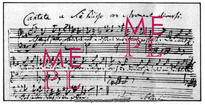 : Johann Sebastian Bach : Johann Sebastian Bach