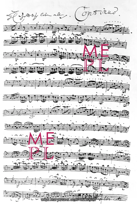 : Johann Sebastian Bach : Johann Sebastian Bach