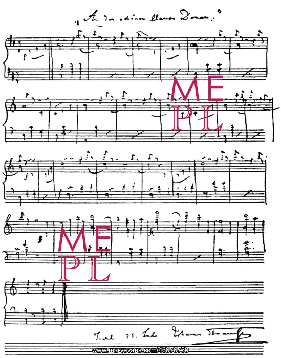 : Johann Strauss II : Johann Strauss II