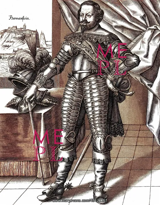 : JOHANN VON WERTH - 3 : JOHANN VON WERTH - 3