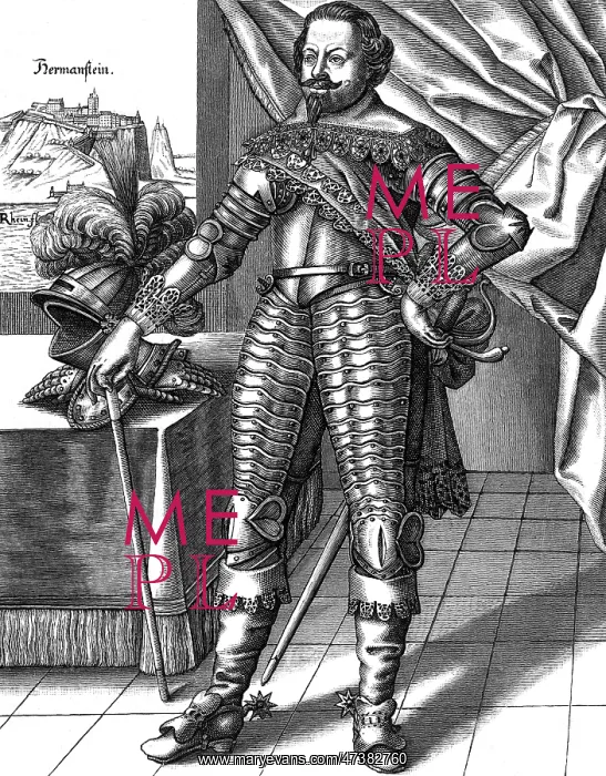 : JOHANN VON WERTH - 3 : JOHANN VON WERTH - 3