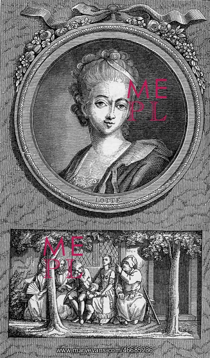 : Johann Wolfgang von Goethe : Johann Wolfgang von Goethe