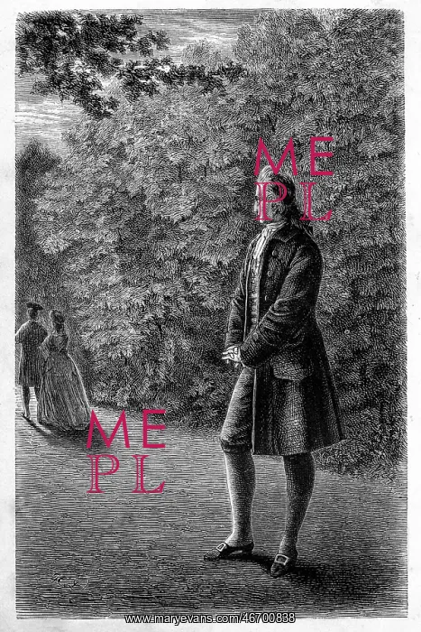 : Johann Wolfgang von Goethe : Johann Wolfgang von Goethe