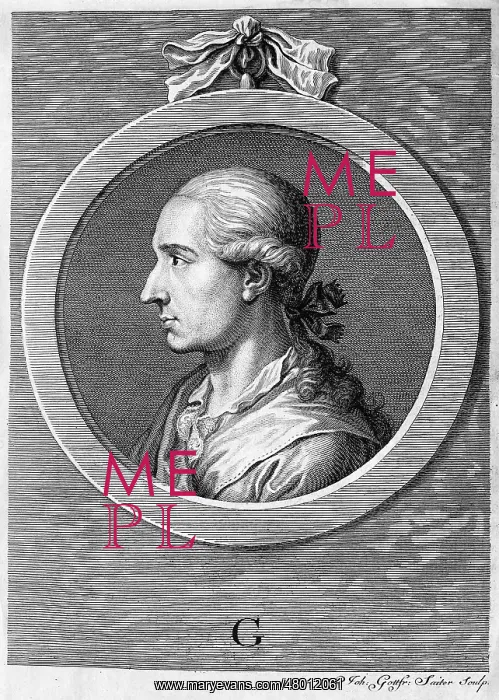 : Johann Wolfgang von Goethe : Johann Wolfgang von Goethe