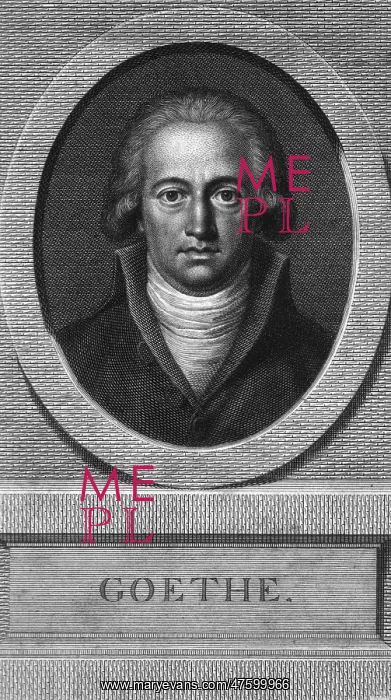 : Johann Wolfgang von Goethe, German Author and Polymath : Johann Wolfgang von Goethe, German Author and Polymath