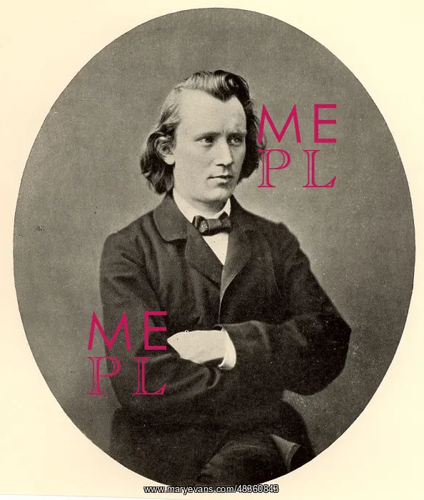 : Johannes Brahms (1833-1897) German composer, as a young man : Johannes Brahms (1833-1897) German composer, as a young man
