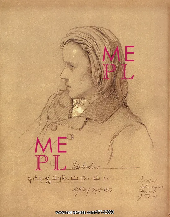 : Johannes Brahms : Johannes Brahms