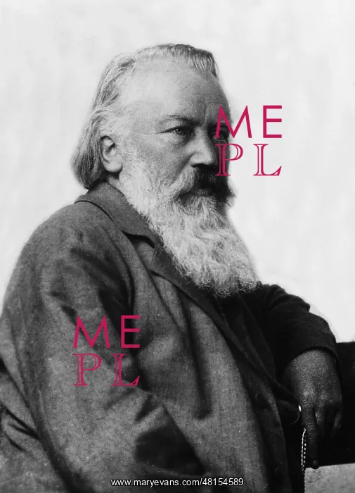 : Johannes Brahms : Johannes Brahms