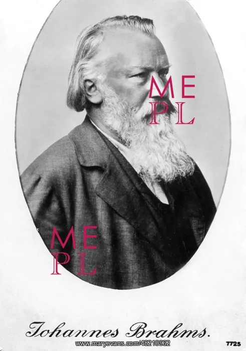 : Johannes Brahms : Johannes Brahms