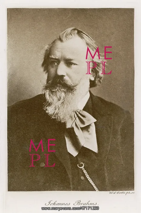  : Johannes Brahms, German composer