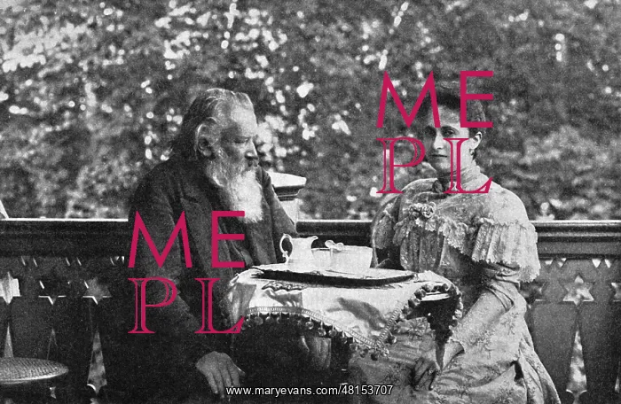 : Johannes Brahms and Mrs. Strauss : Johannes Brahms and Mrs. Strauss