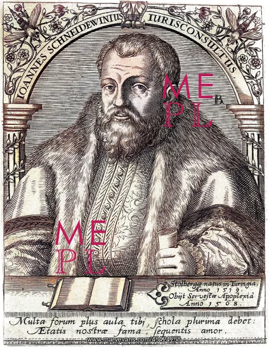 : JOHANNES SCHNEIDEWEIN : JOHANNES SCHNEIDEWEIN