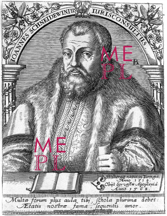 : JOHANNES SCHNEIDEWEIN : JOHANNES SCHNEIDEWEIN