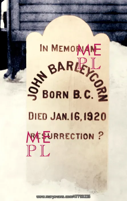 : John Barleycorn Tombstone, 1920 : John Barleycorn Tombstone, 1920