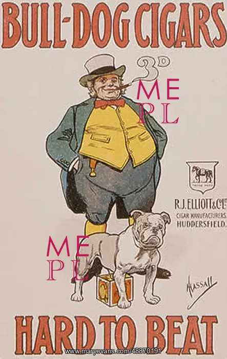  : John Bull advertises Bulldog cigars