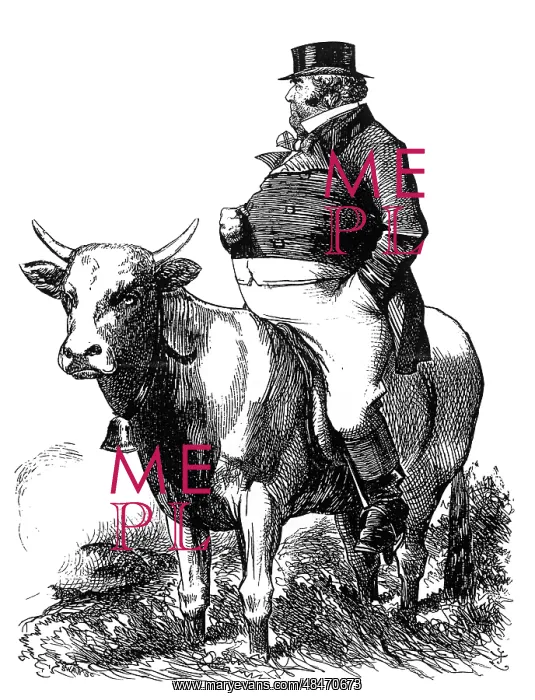  : JOHN BULL ON A BULL