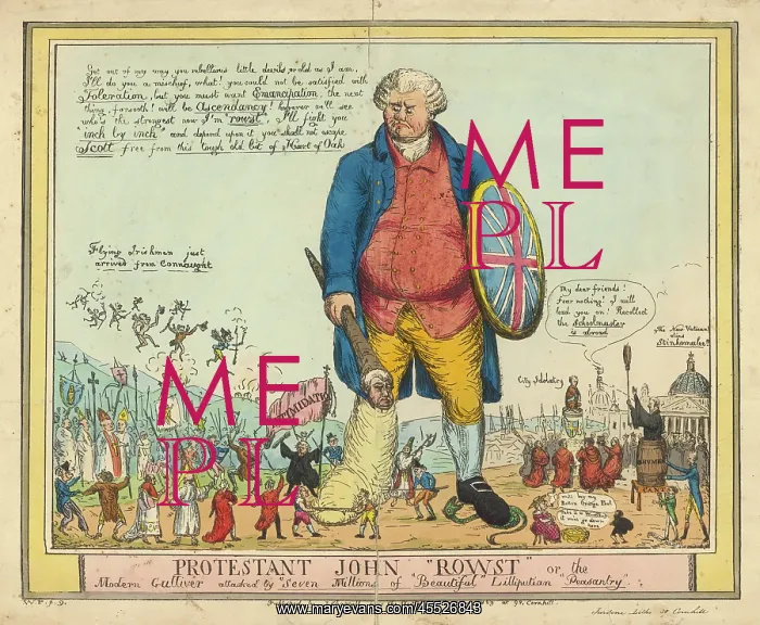 : JOHN BULL IN IRELAND : JOHN BULL IN IRELAND