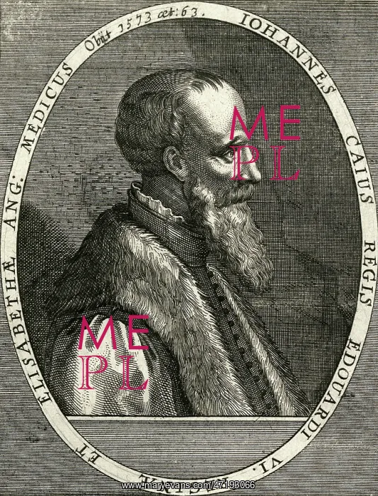 : JOHN CAIUS : JOHN CAIUS