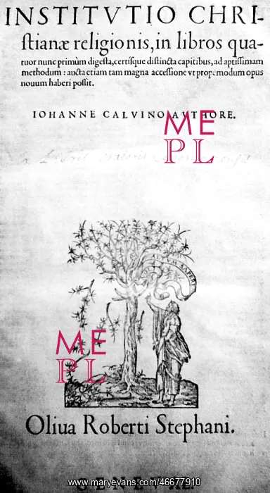 : John Calvin : John Calvin