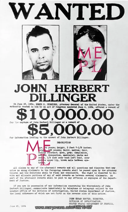 : John Dillinger : John Dillinger