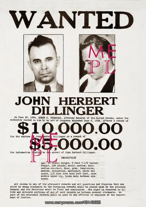 : A John Dillinger wanted poster : A John Dillinger wanted poster