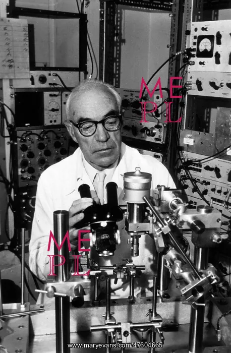 : John Eccles, Australian Neurophysiologist : John Eccles, Australian Neurophysiologist