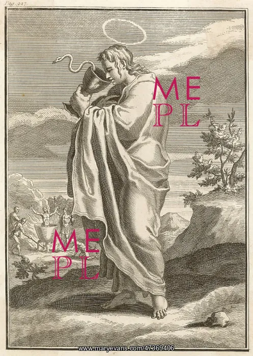 : JOHN THE EVANGELIST : JOHN THE EVANGELIST