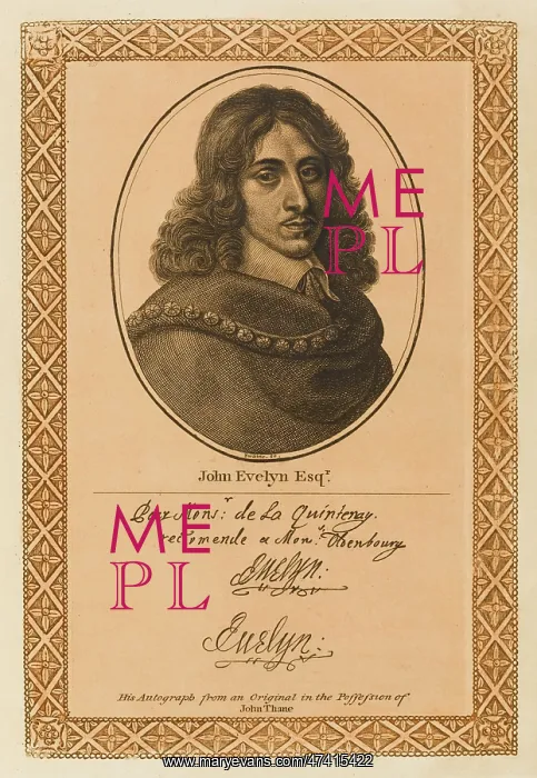 : JOHN EVELYN : JOHN EVELYN