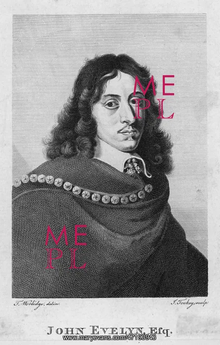 : JOHN EVELYN / TOOKEY : JOHN EVELYN / TOOKEY