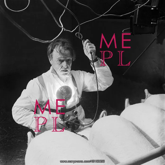 : John Gay. An informal portrait of John Gay at work preparing to photograph : John Gay. An informal portrait of John Gay at work preparing to photograph