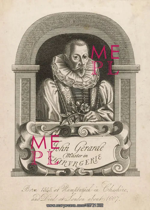 : John Gerard, Herbalist : John Gerard, Herbalist