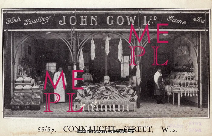 : John Gow Ltd - Conaught Street : John Gow Ltd - Conaught Street