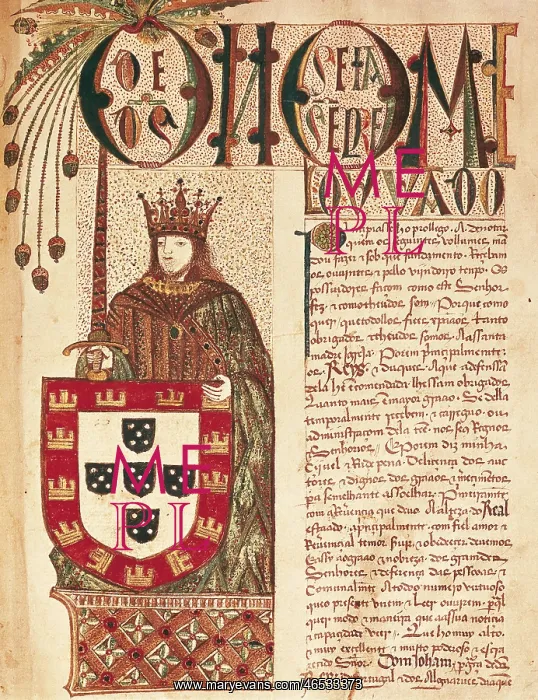 : John II, called The Perfect Prince (1455-1494) : John II, called The Perfect Prince (1455-1494)