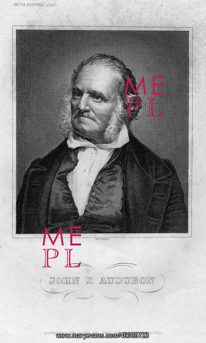 : John James Audubon : John James Audubon