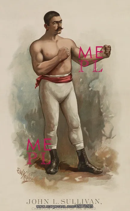 : John Lawrence Sullivan, the bare-knuckle champion : John Lawrence Sullivan, the bare-knuckle champion