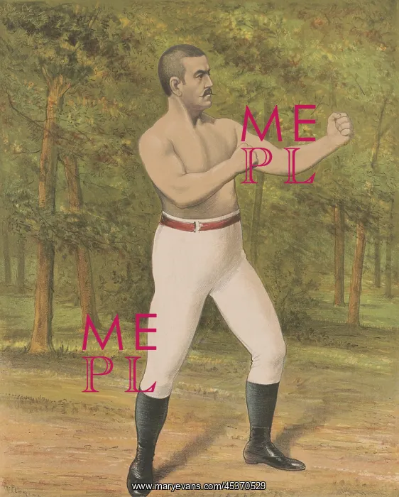: John Lawrence Sullivan, the bare-knuckle champion : John Lawrence Sullivan, the bare-knuckle champion