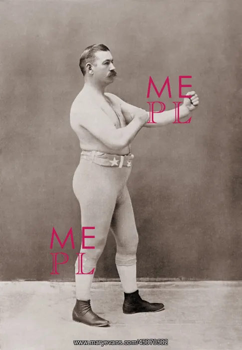 : John Lawrence Sullivan, the bare-knuckle champion : John Lawrence Sullivan, the bare-knuckle champion