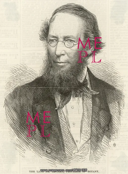 : JOHN LINDLEY : JOHN LINDLEY